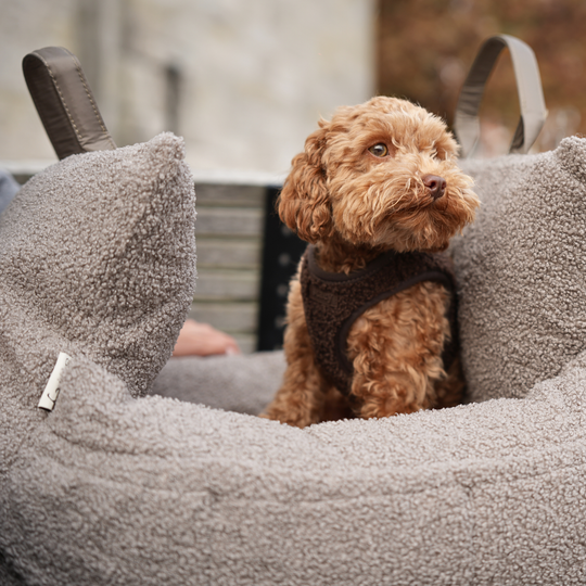 Staey - Lara 3-i-1 Bilsæde, Teddy 2.0