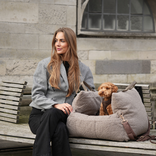 Staey - Lara 3-i-1 Bilsæde, Teddy 2.0