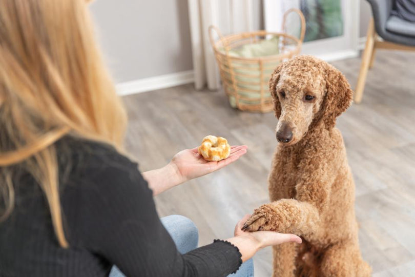 Trixie - Denta Fun Kollagen Donuts m. Kylling (bf. 28/8-2026)