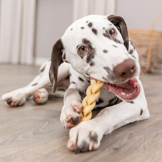 Trixie - Flettet Bøffel, 200g