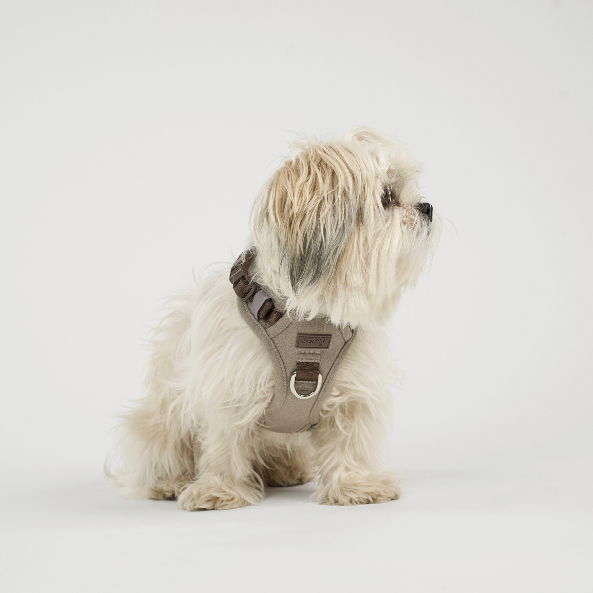 Staey - Elma Hundesele, Sand