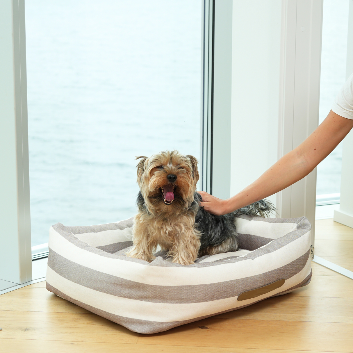 Staey - Alba Canvas Hundeseng, Natur
