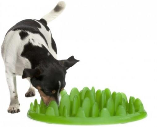 Northmate Green - Slow Eater, Grøn