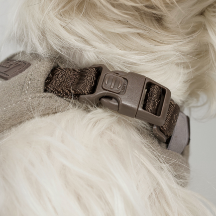 Staey - Elma Hundesele, Sand