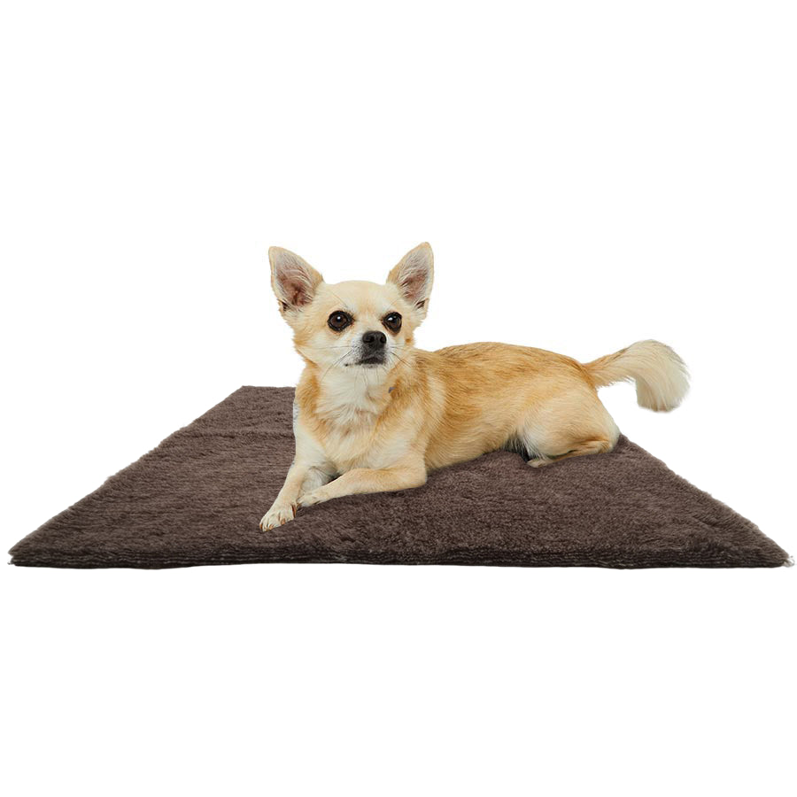 Active Canis Vetbed, Brun