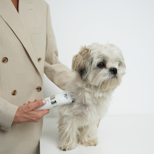 Purepaw - Premium Keramisk Hundetrimmer