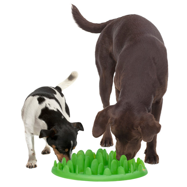 Northmate Green - Slow Eater, Grøn