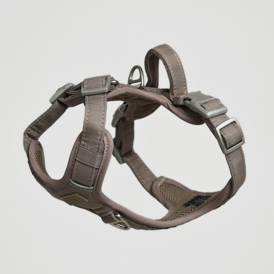 Furpect - Move Y-Hundesele, Latte