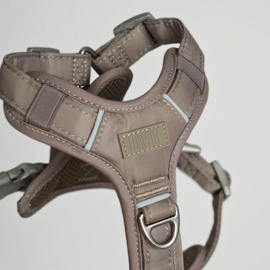 Furpect - Move Y-Hundesele, Latte