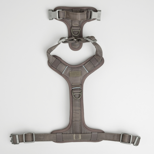 Furpect - Move Y-Hundesele, Latte