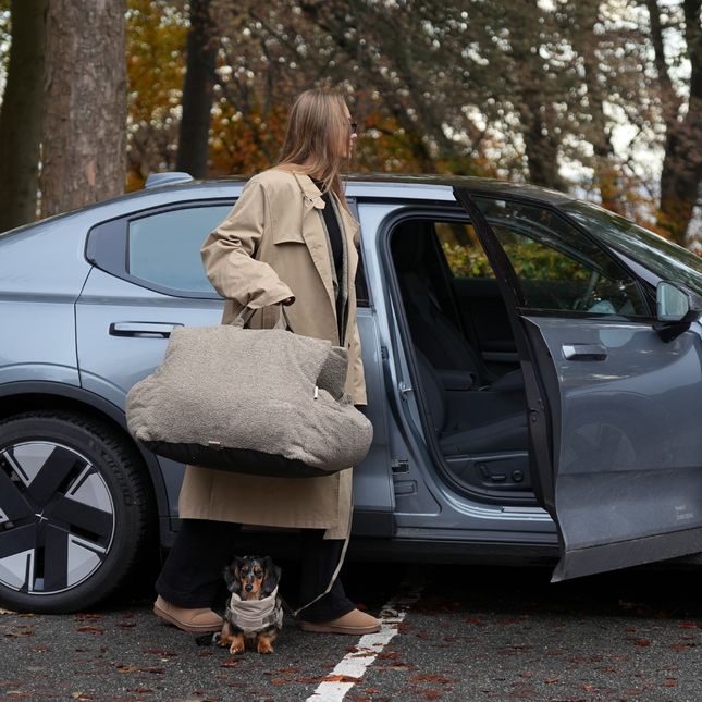 Staey - Lara 3-i-1 Bilsæde, Teddy 2.0