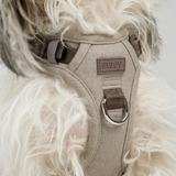 Staey - Elma Hundesele, Sand