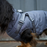 Vera Hundejakke m. sele, Dusty Blue – Staey