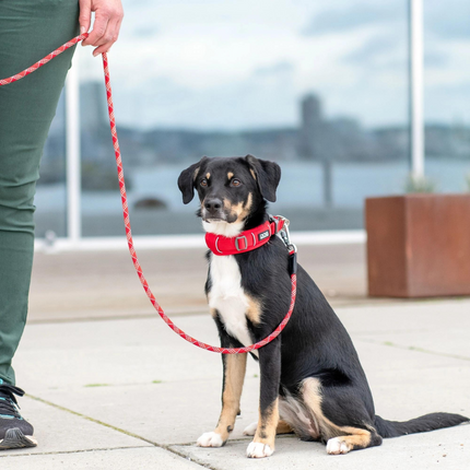 Dog Copenhagen Urban Explorer™ Halsbånd - Wild Rose