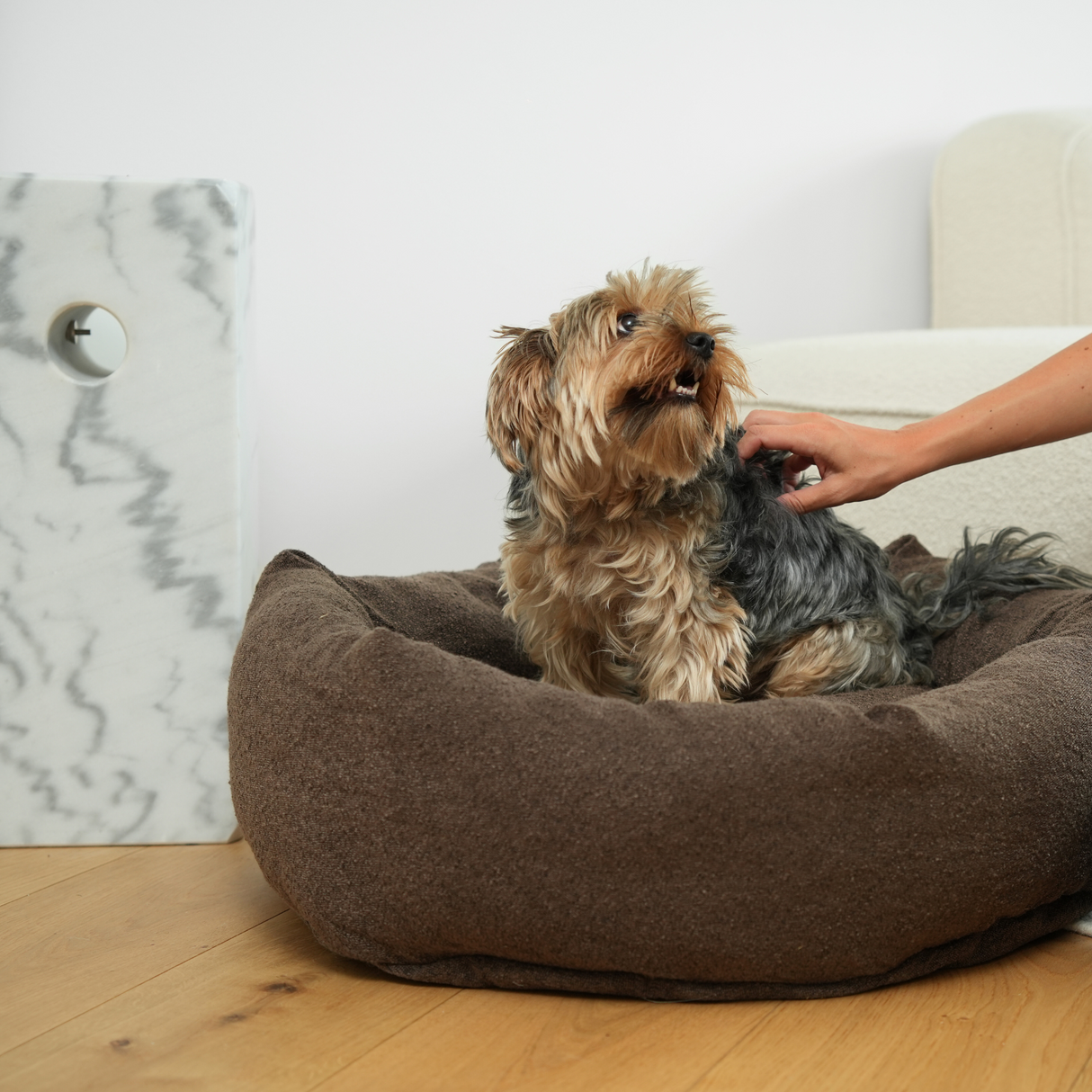 Staey - Luna 3.0 Hundeseng, Chestnut Bouclé