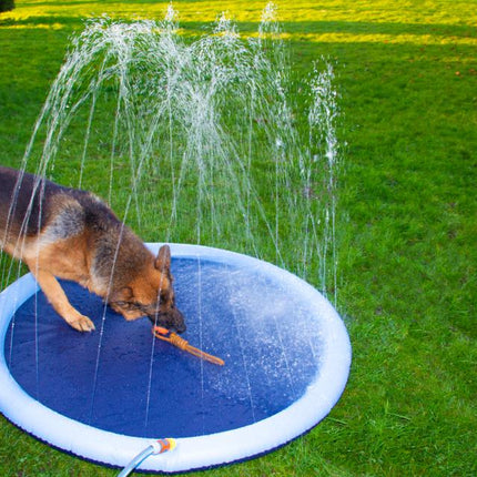Companion - Sprinkle Splash Mat