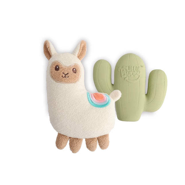 Little Buddy – hvalpepakke 2