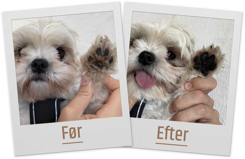 Purepaw - Premium 2-i-1 Poteklippemaskine