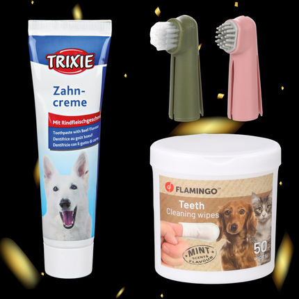 Collection image for: Flamingo