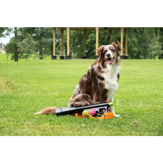 Dog Comets - Bazooka Til Bolde