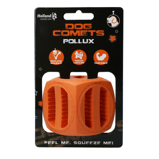 Dog Comets - Pollux, Orange