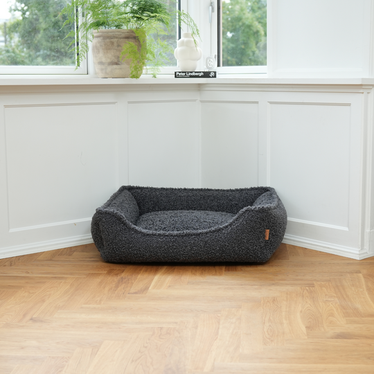 Staey - Tora Hundeseng, Storm Curly