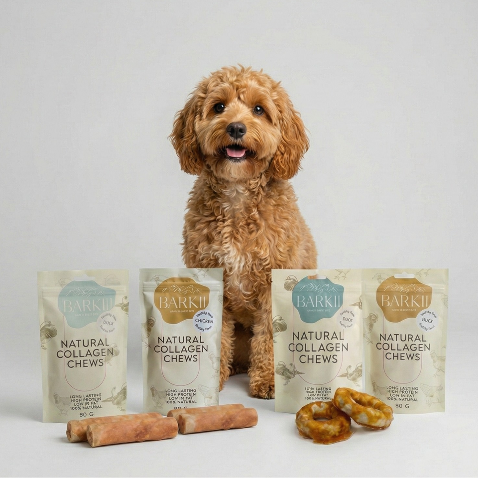 UGENS PRISBASKERE 💛