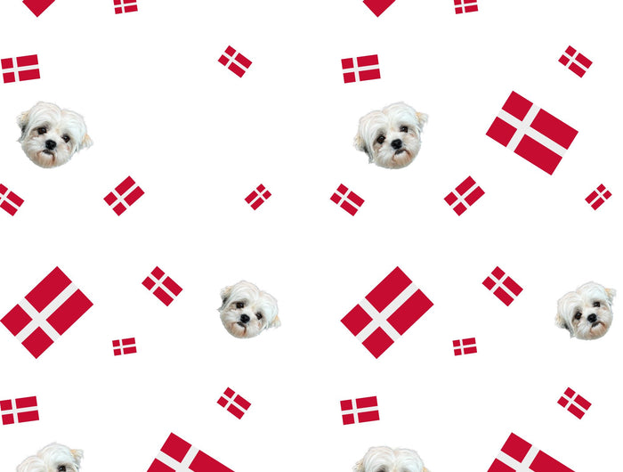 Luksushund fylder 3 år