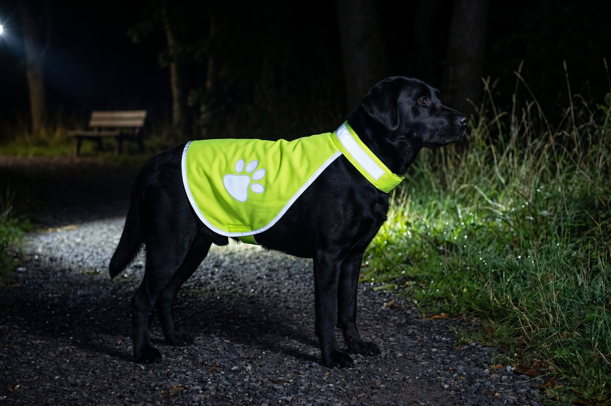 Refleksvest med poter til Hund – Neongul