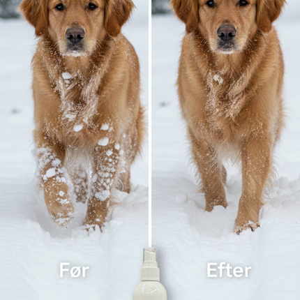 B&B Frostfri - Vinterspray