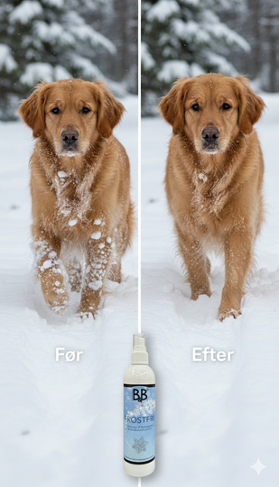 B&B Frostfri - Vinterspray