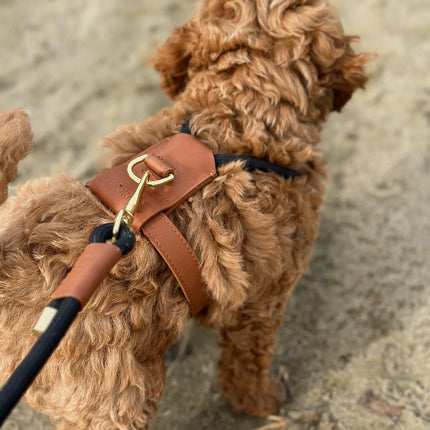 Bjorken Hundesele, Sort