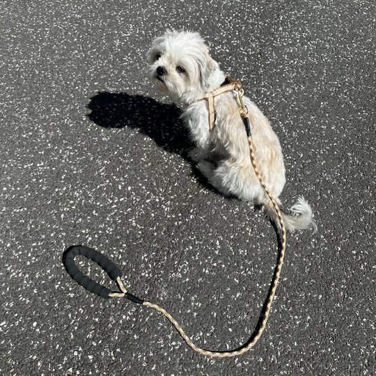 Furpect - Sæt m. Hundesele & Snor, Brun