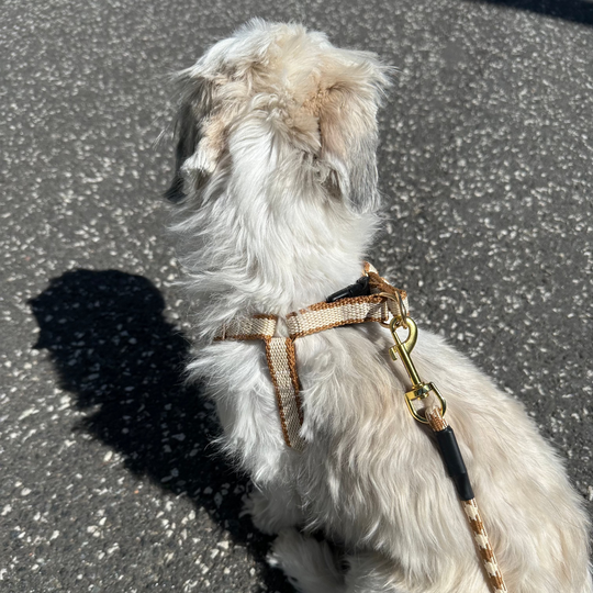 Furpect - Sæt m. Hundesele & Snor, Brun