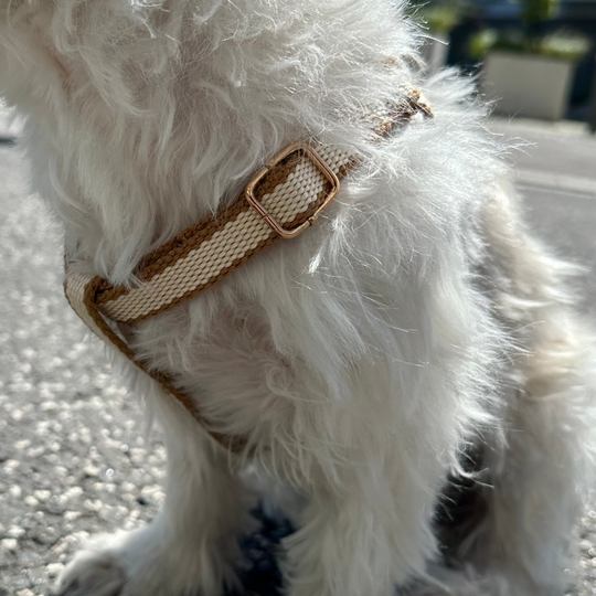 Furpect - Sæt m. Hundesele & Snor, Brun