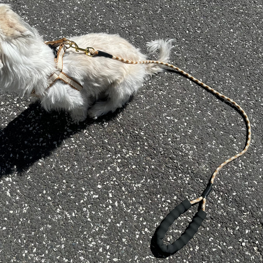 Furpect - Sæt m. Hundesele & Snor, Brun