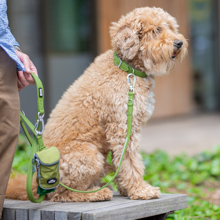 DOG Copenhagen Urban Classic™ Halsbånd - Hunting Green
