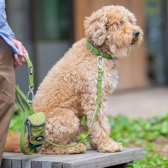 DOG Copenhagen Urban Classic™ Halsbånd - Hunting Green