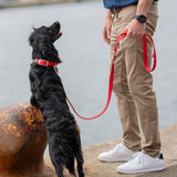 DOG Copenhagen Urban Classic™ Halsbånd - Classic Red