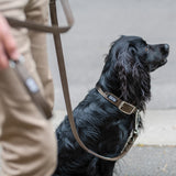 DOG Copenhagen Urban Classic™ Halsbånd - Mocca