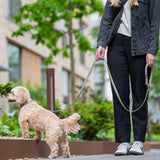 DOG Copenhagen Urban Classic™ Line - Desert Dune