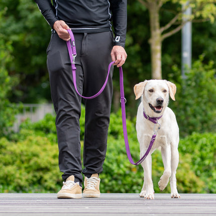 DOG Copenhagen Urban Classic™ Line - Purple Passion