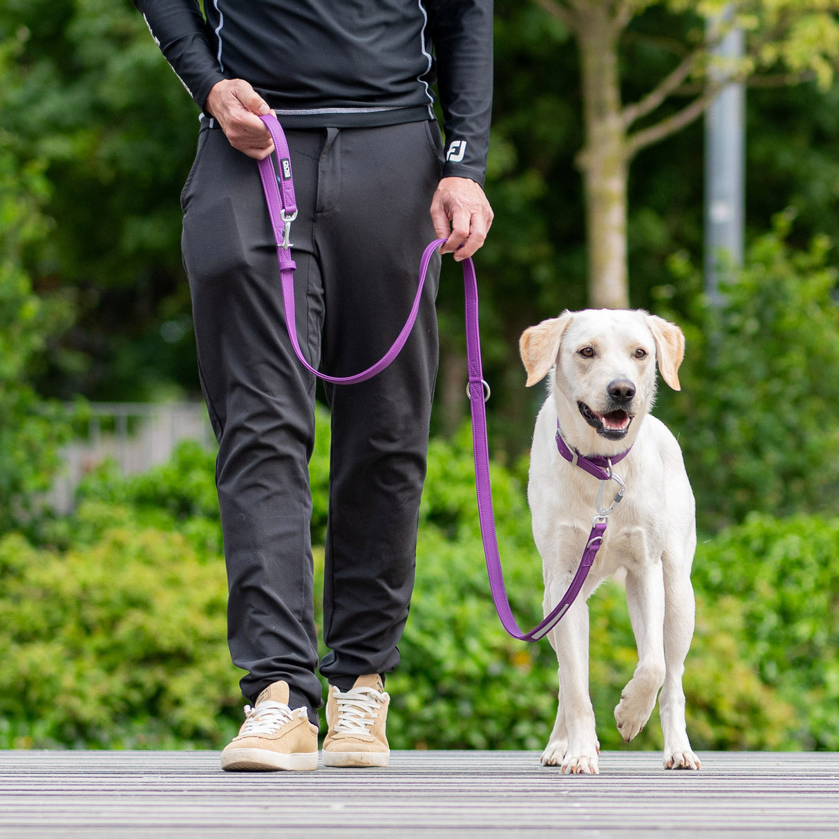 DOG Copenhagen Urban Classic™ Line - Purple Passion