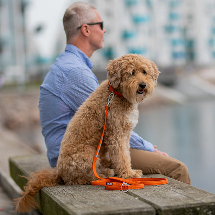 DOG Copenhagen Urban Classic™ Line - Orange Sun
