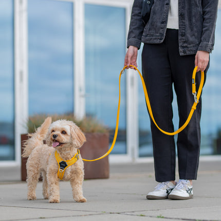 DOG Copenhagen Urban Classic™ Line - Lemon
