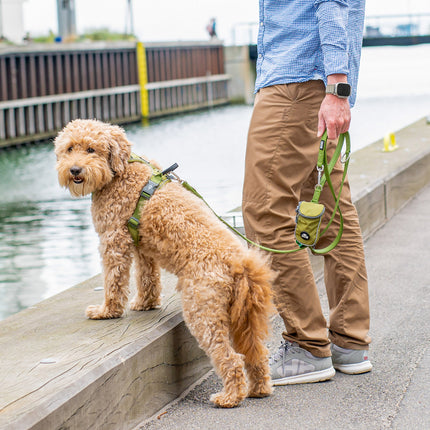 DOG Copenhagen Urban Classic™ Line - Hunting Green