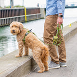 DOG Copenhagen Urban Classic™ Line - Hunting Green