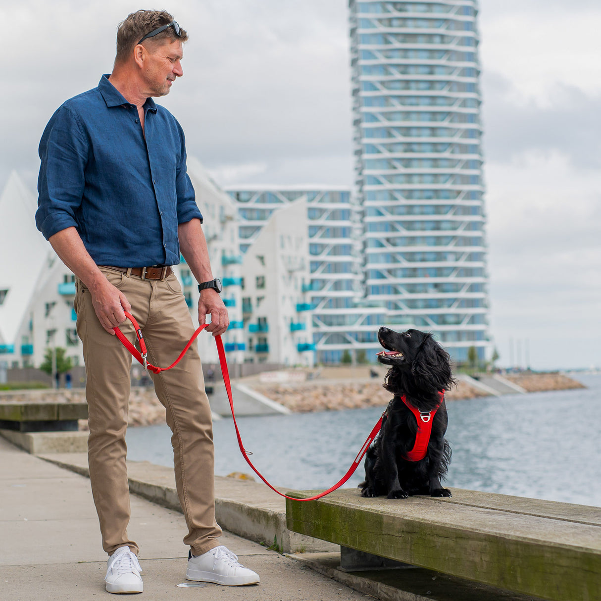 DOG Copenhagen Urban Classic™ Line - Classic Red