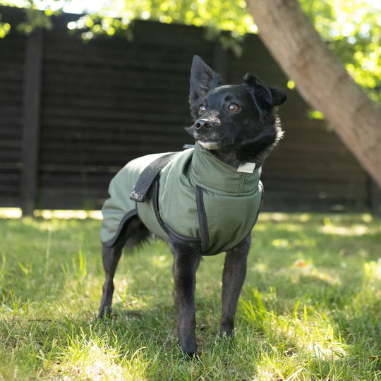 Siccaro - Regnjakke Rainforce, Green