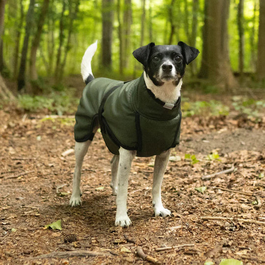 Siccaro - Regnjakke Rainforce, Green